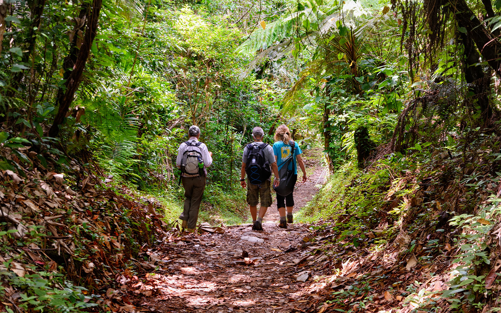 Belize Nature Tours 